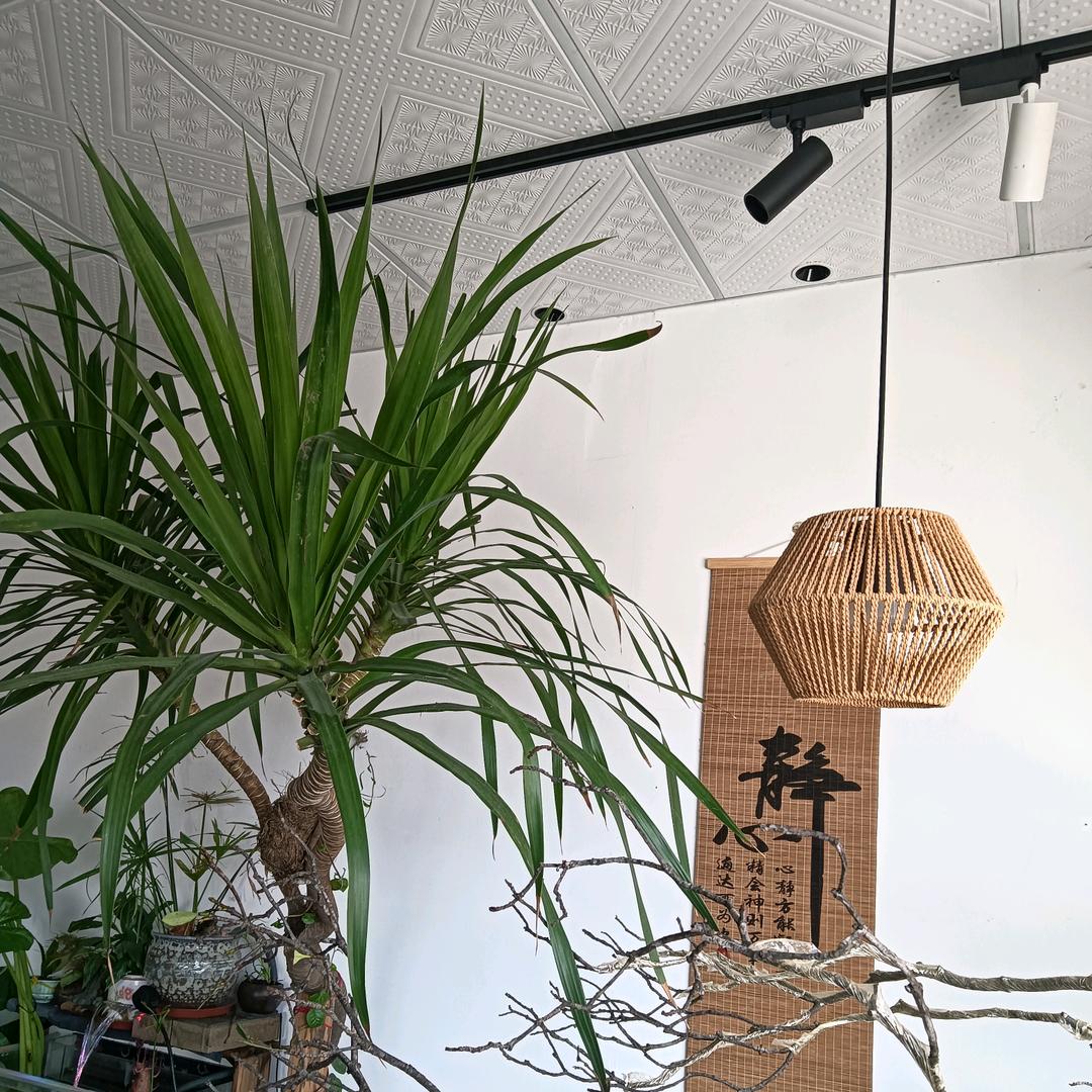 茶空间智慧灯光老白