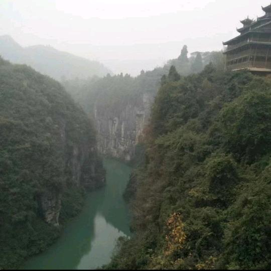 呆头大哥