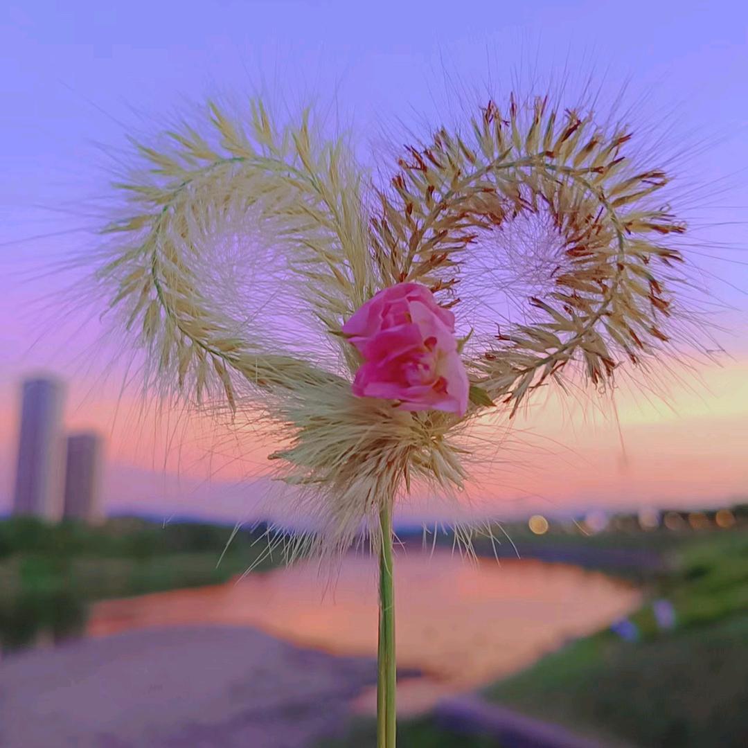 温馨