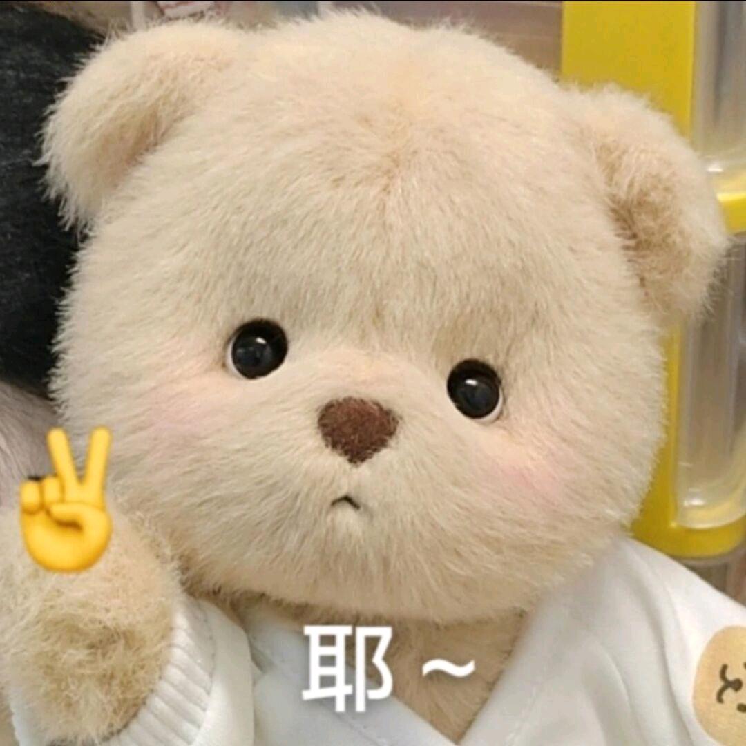 懒熊♚