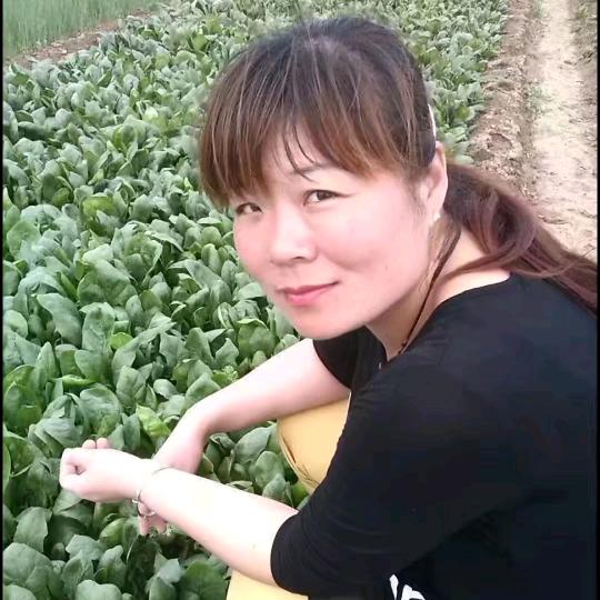 英子姐