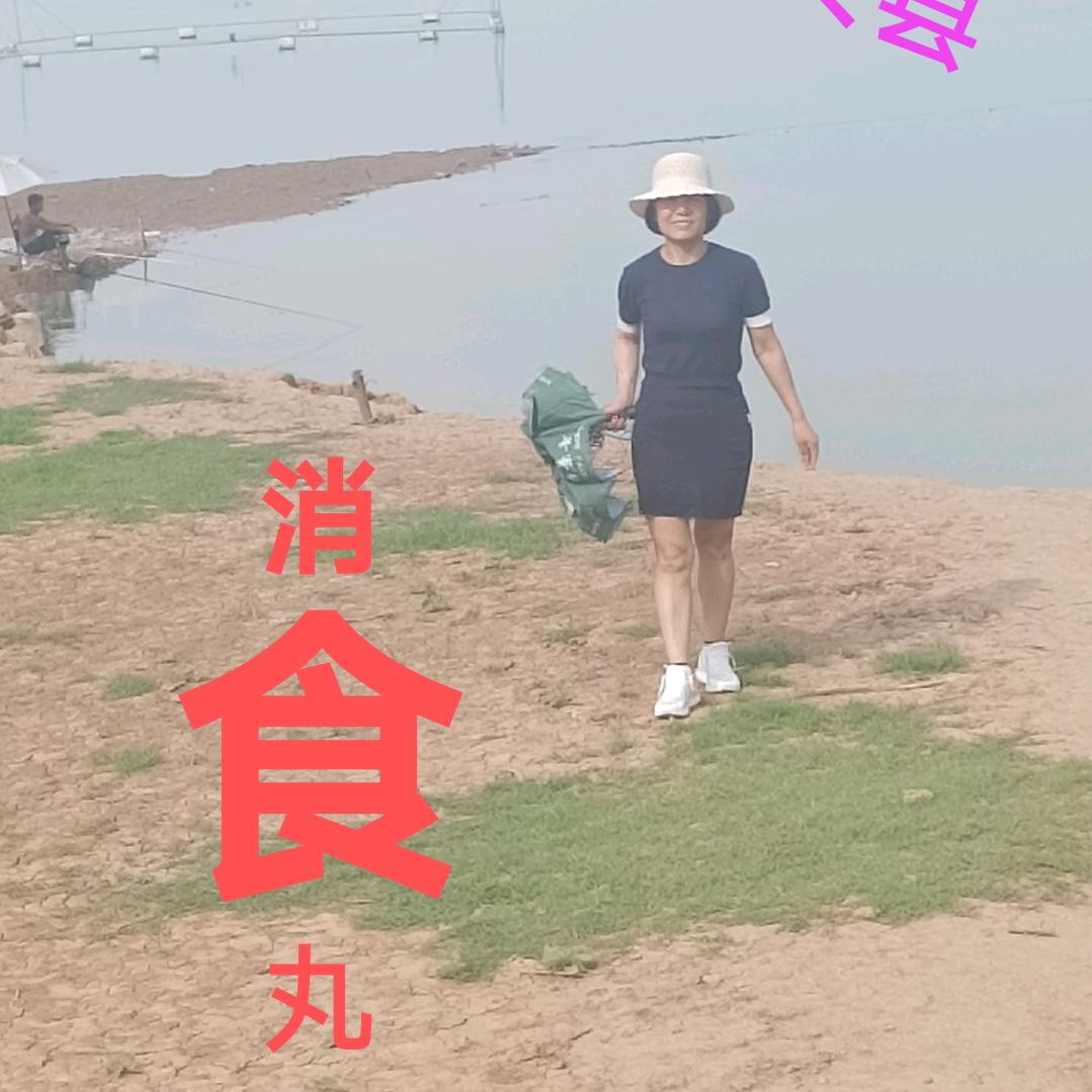 新安县消食丸……猪肝散