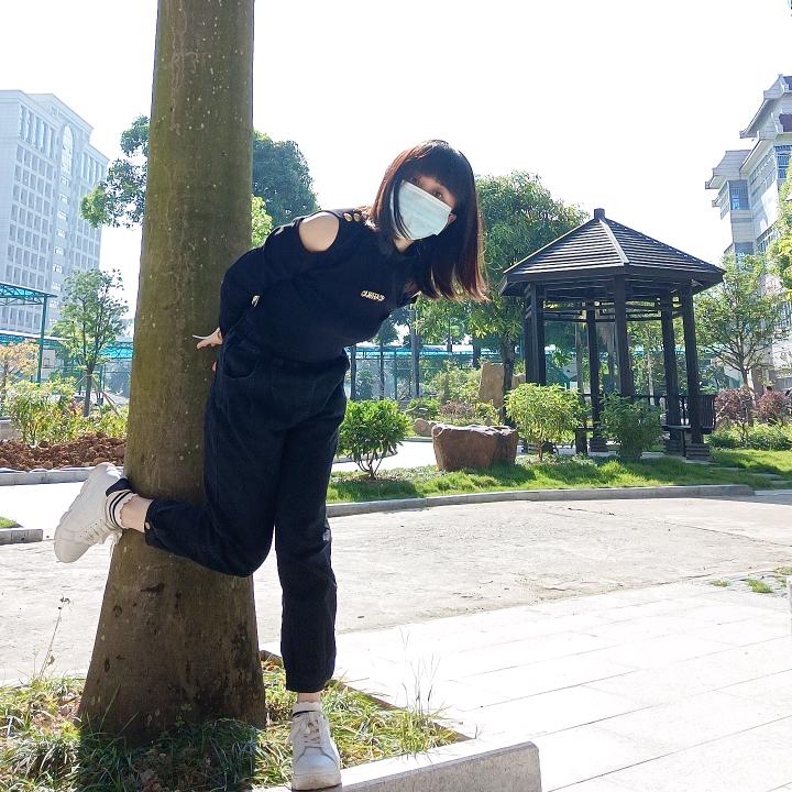 心语青燕