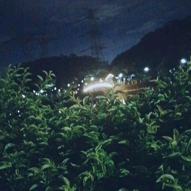 //南城旧梦