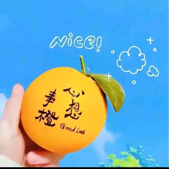 海的对岸
