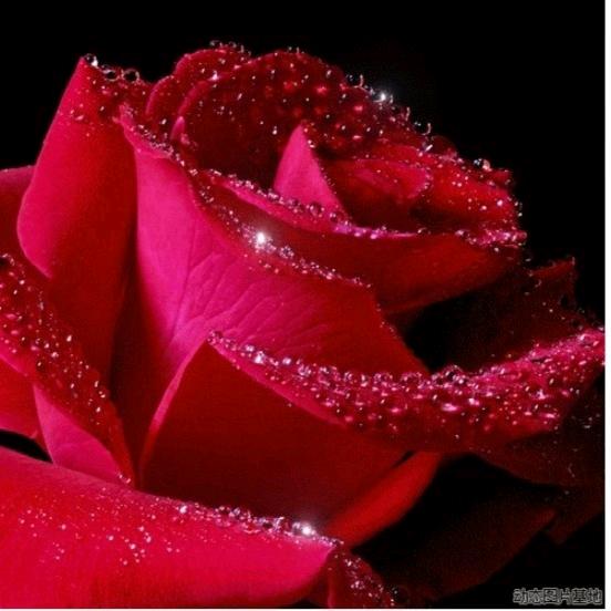 为了你。💕💕💕