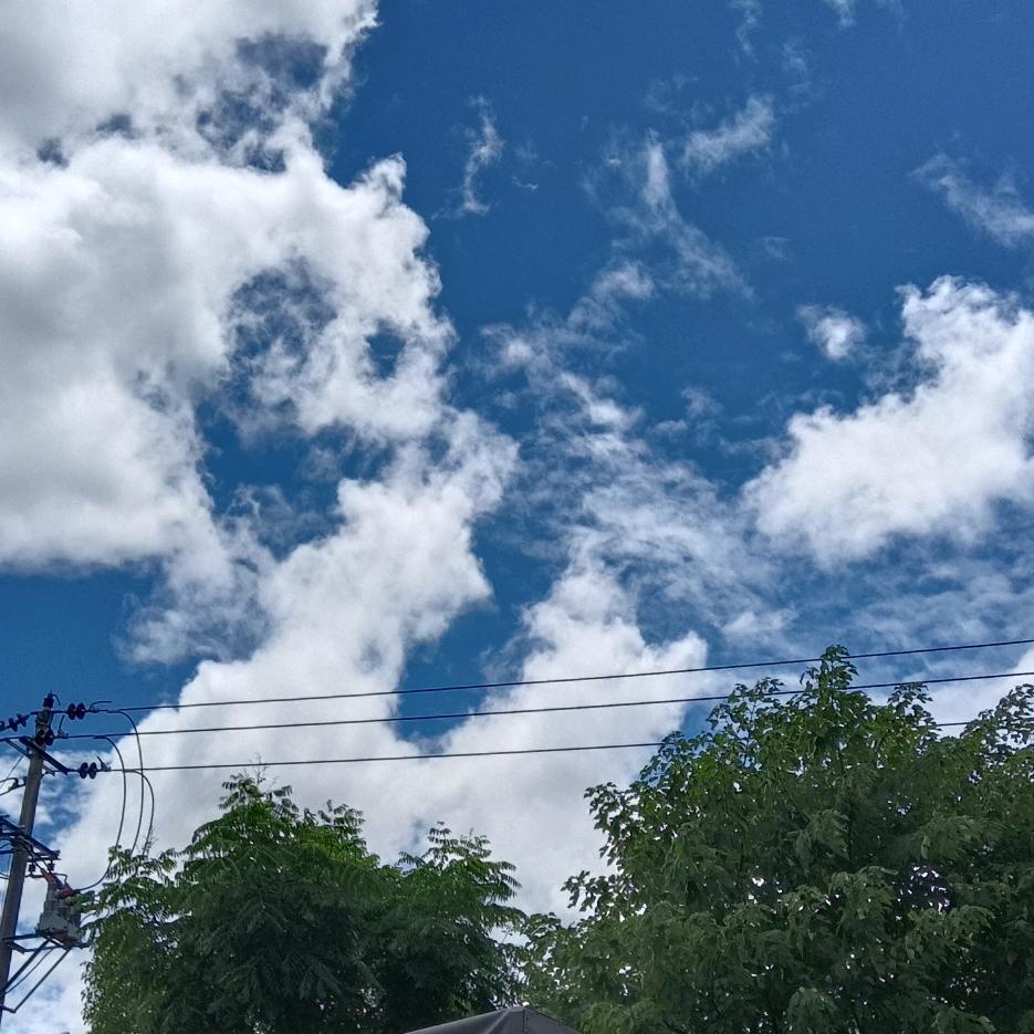 百味人生