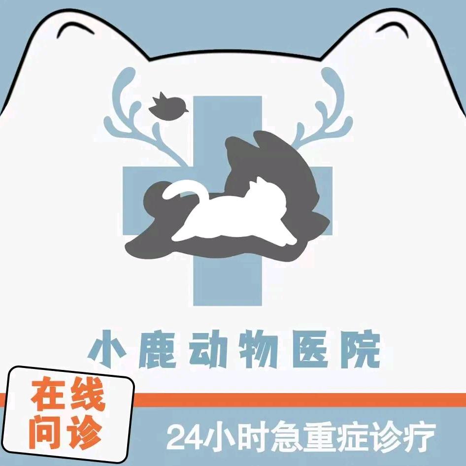 小鹿动物医院