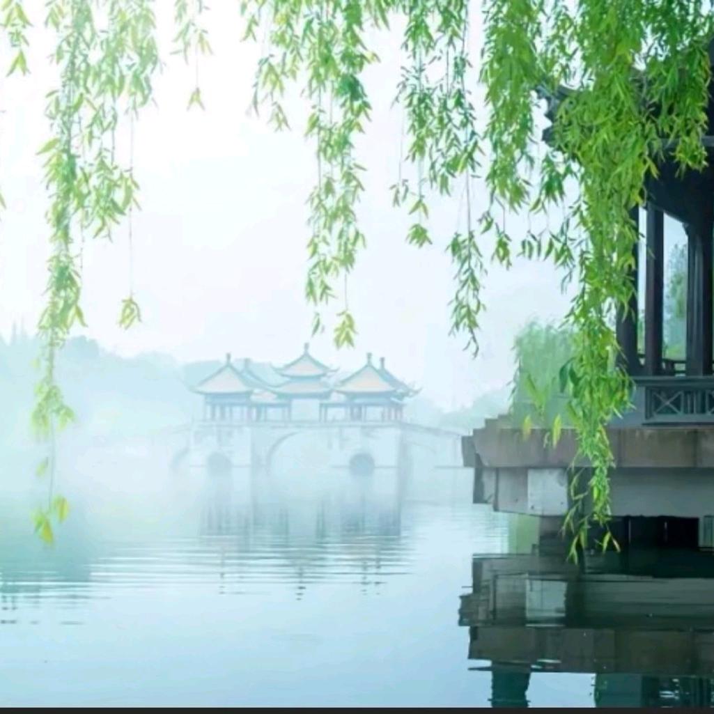 空山新雨