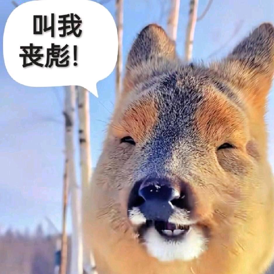 梨园