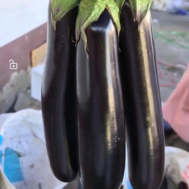 熊孩 子