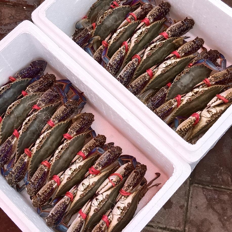 东营-孤岛海鲜（路边摊）