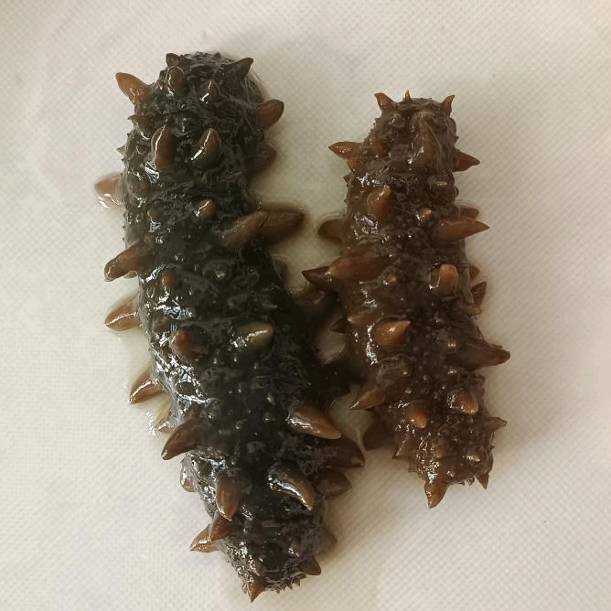 简简单单的幸福