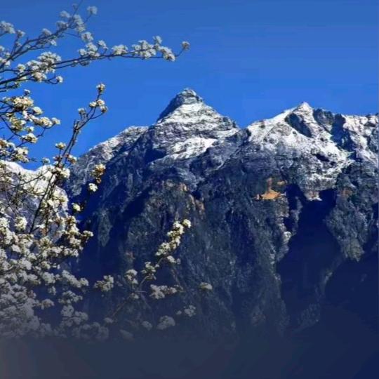 人生很短。健健康康才是最大的幸福。