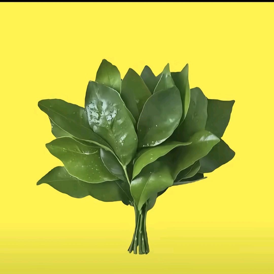 迃幵(ง •̀_•́)ง