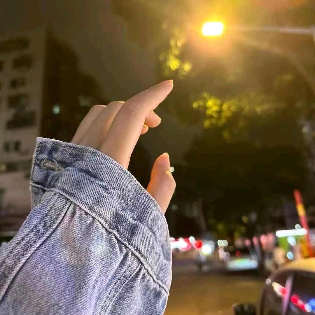 恋爱狗都不谈