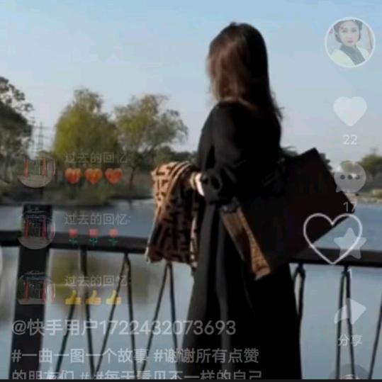 ❤️雨中玫瑰❤️