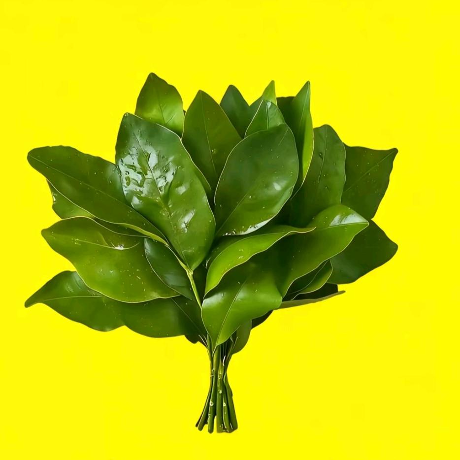 ໑ຼ້ₒ₂₅ོ梦宝ృ༊💞