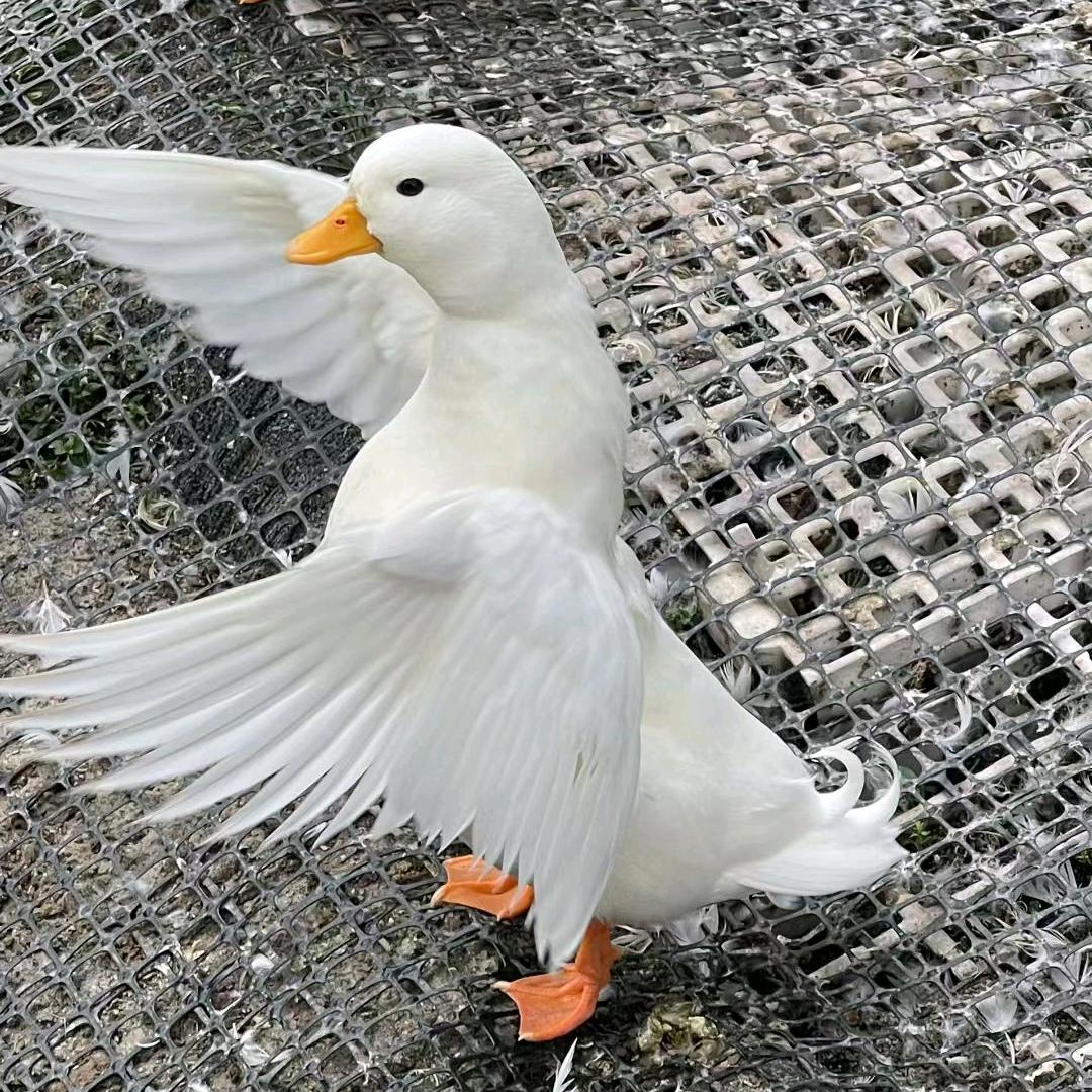诗在远方