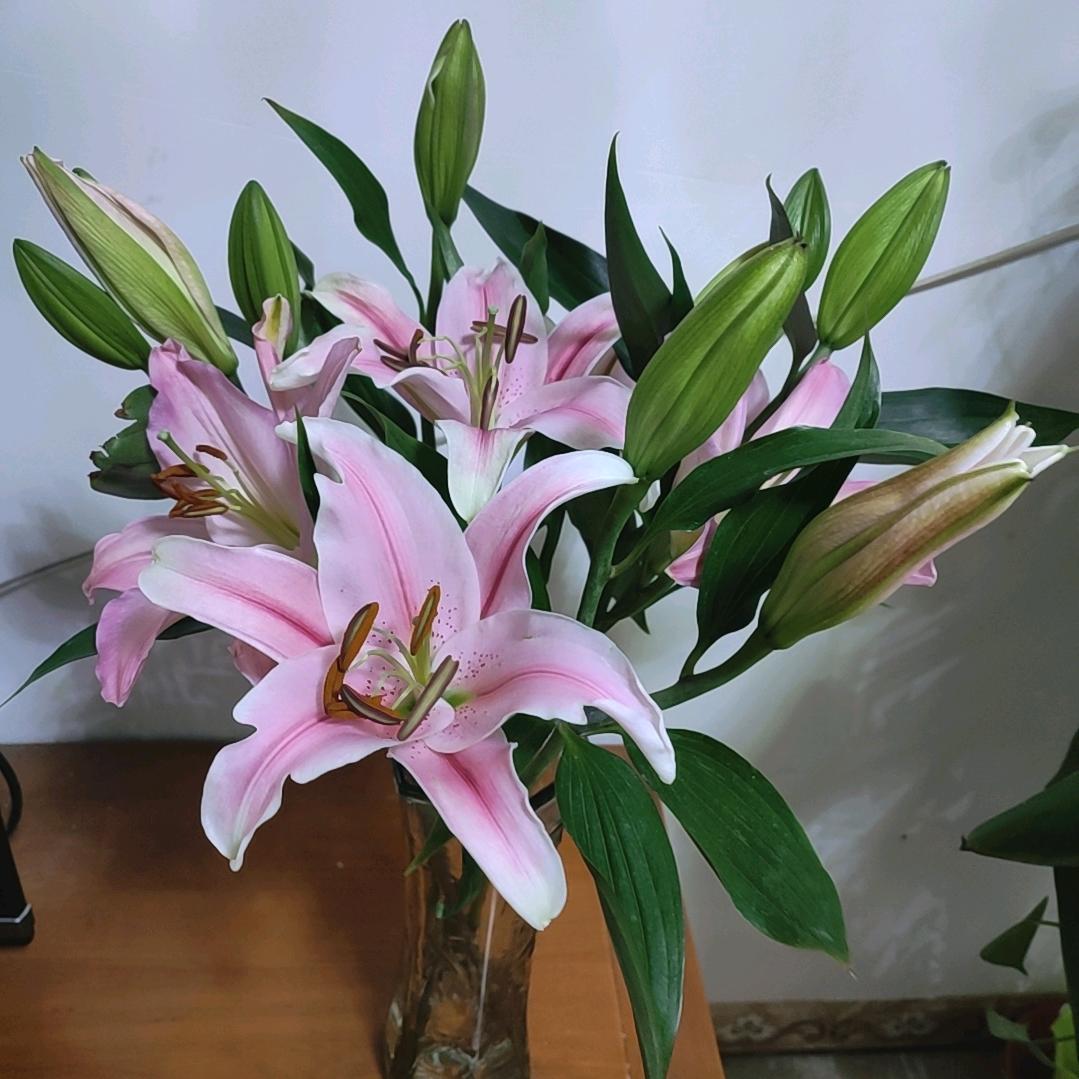 冬迎梅至,春伴燕归