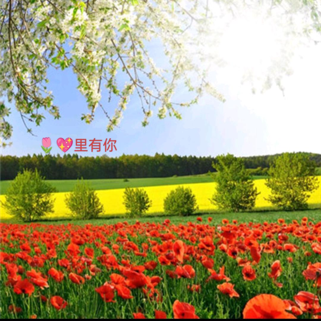精神