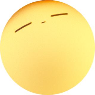 不吃鱼