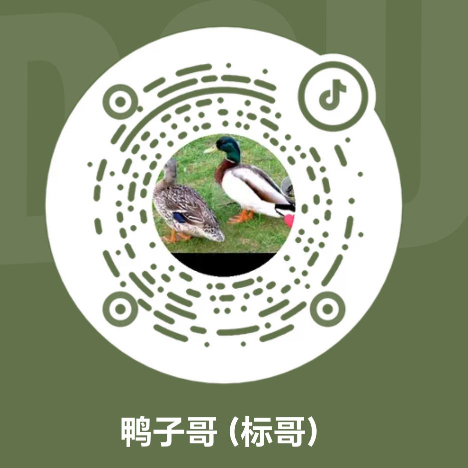 鸭子哥(标哥)