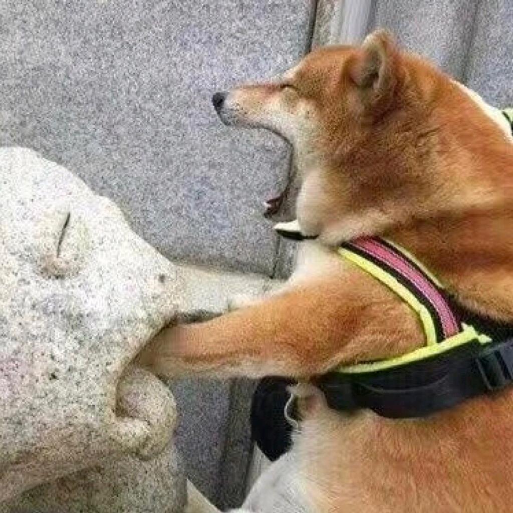 我是钢铁侠🐵