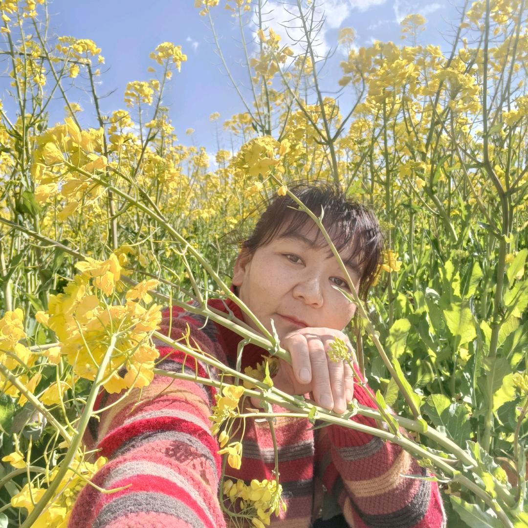 随风而逝