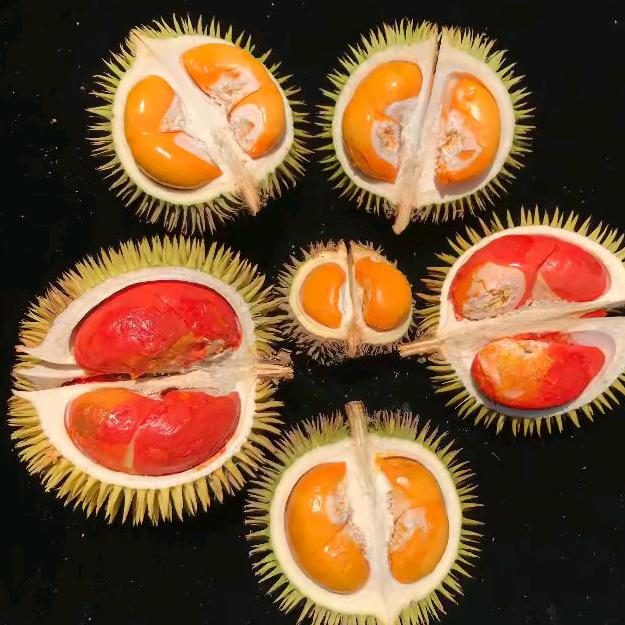 半山棠生鲜