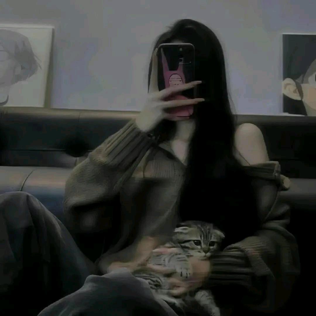 兔子🐰不吃🦈
