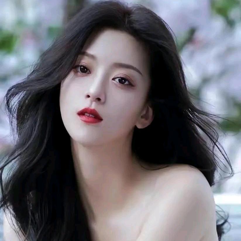 大夏宝藏