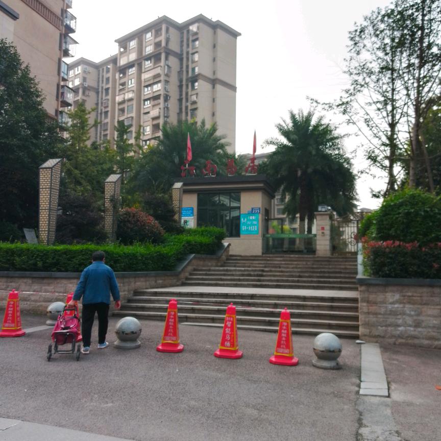 我要向前走