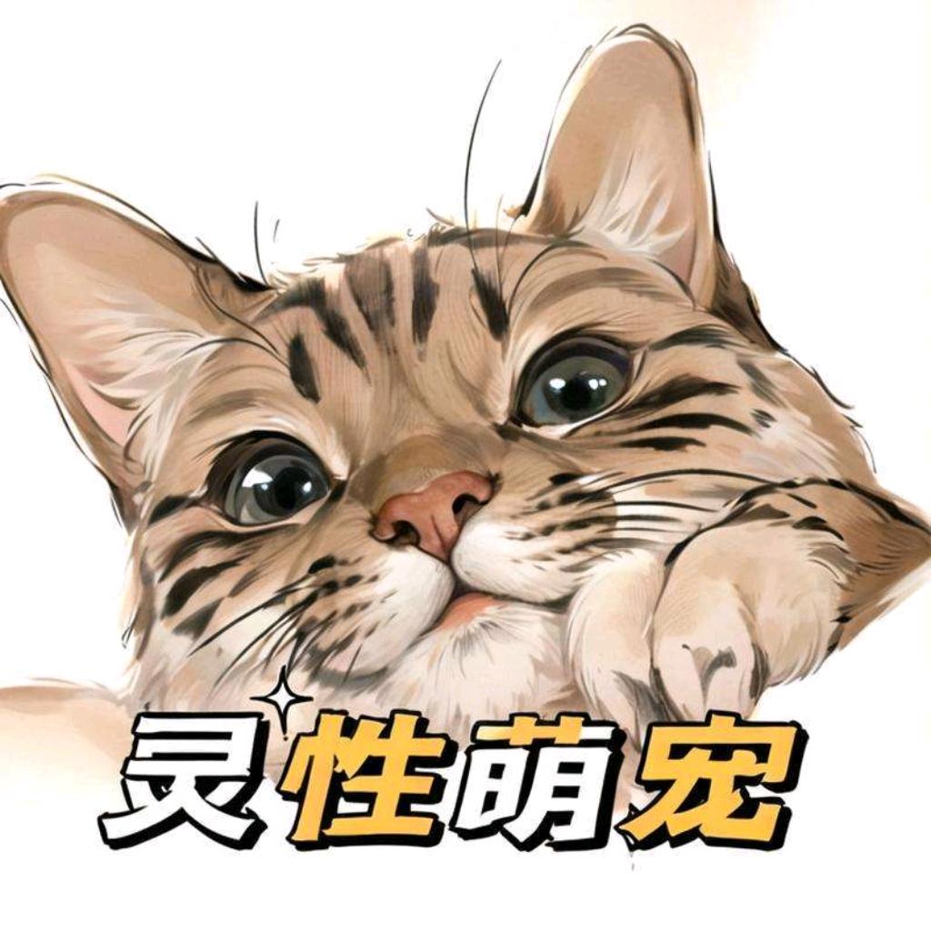 一家很哇塞的宠物店