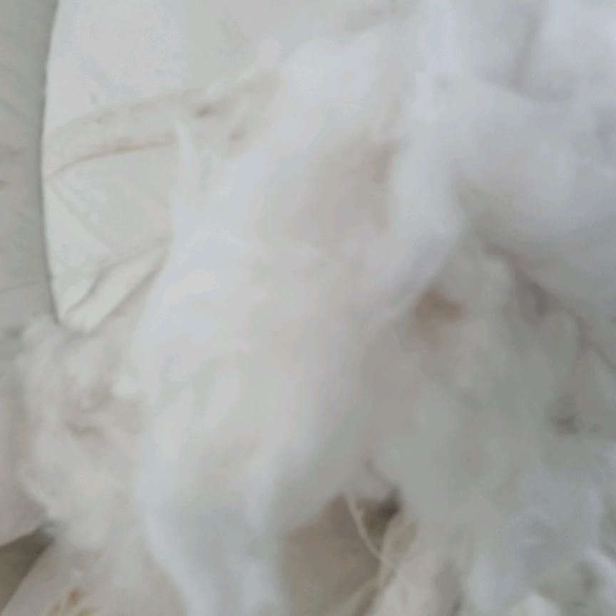 商丘达丰再生棉业有限公司