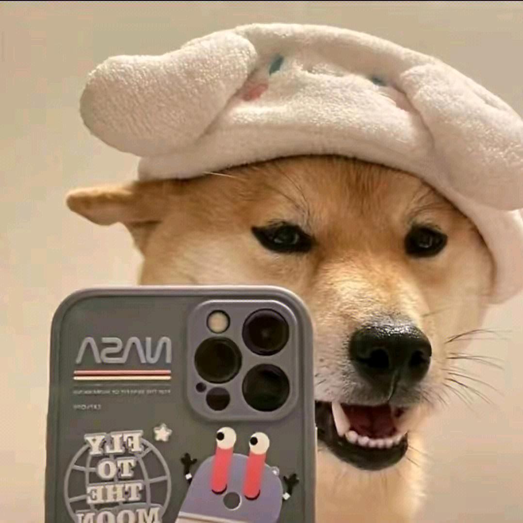 随发～