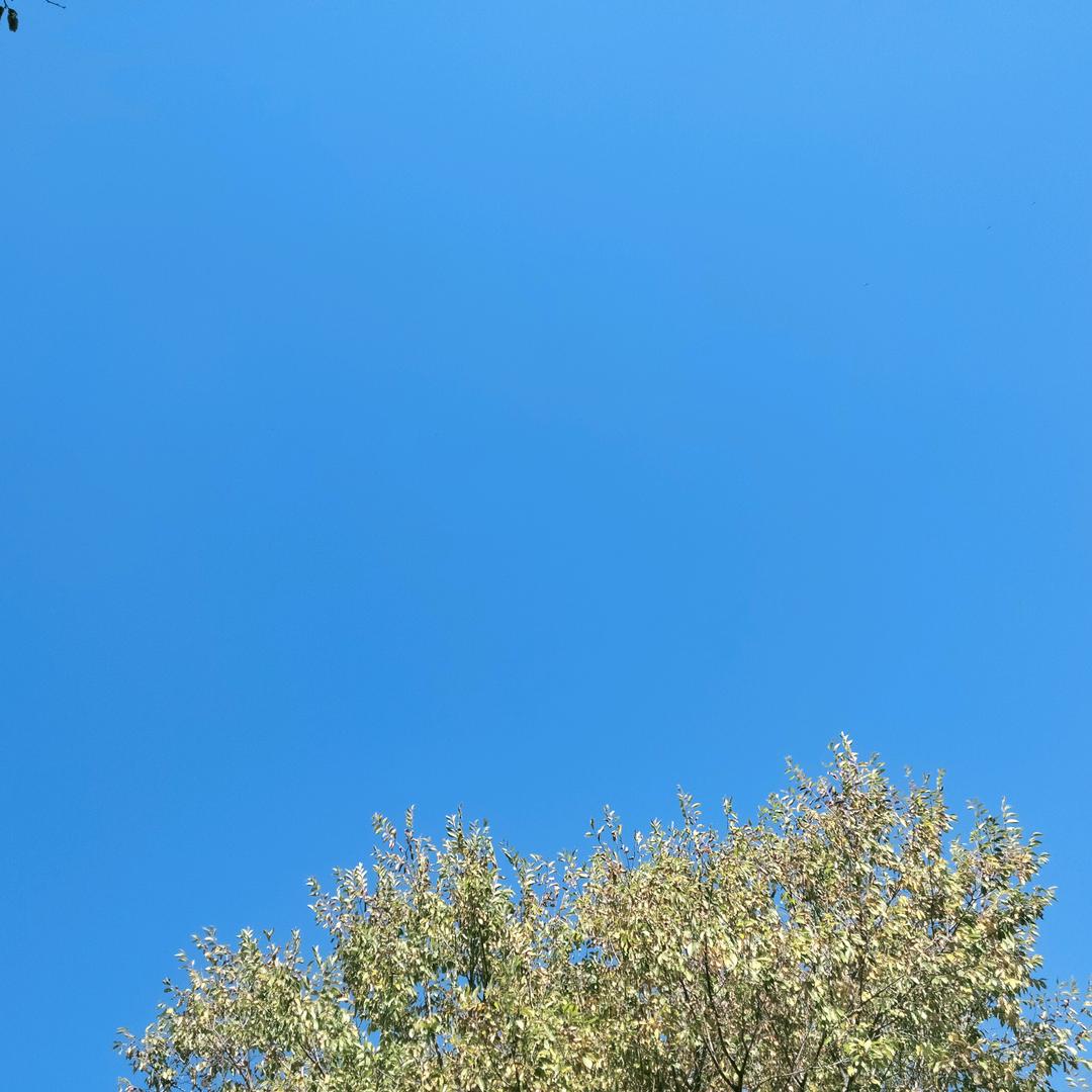 似水流年