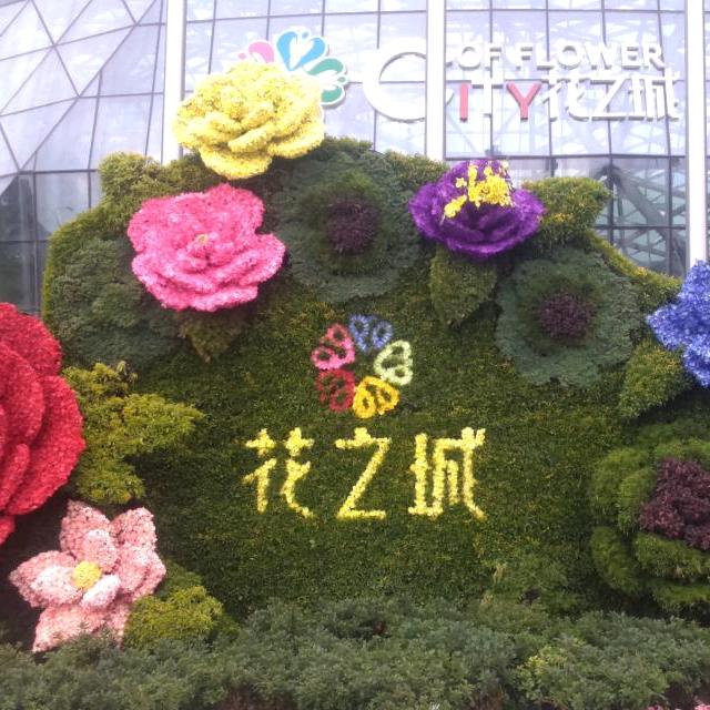 柒月&