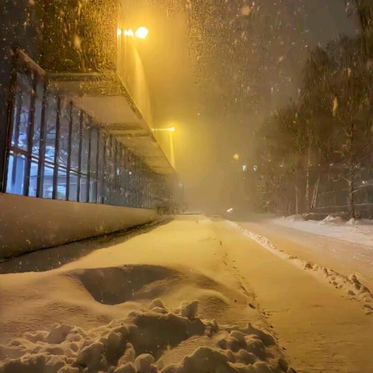 暮雪