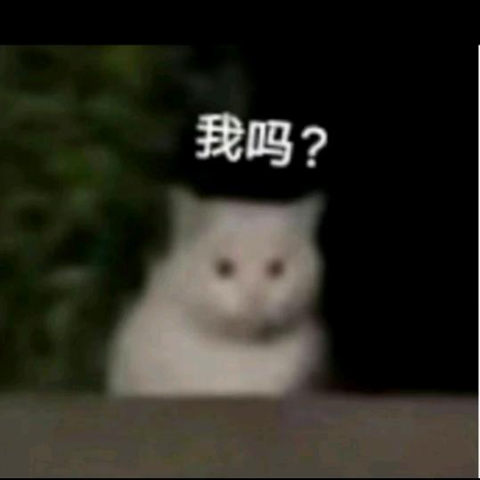 傲天的傲
