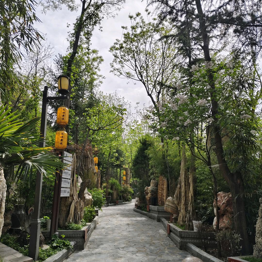 石源酒店～王亚琴