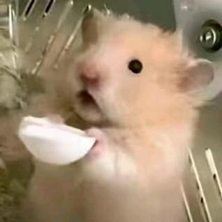 。。。。。。。。