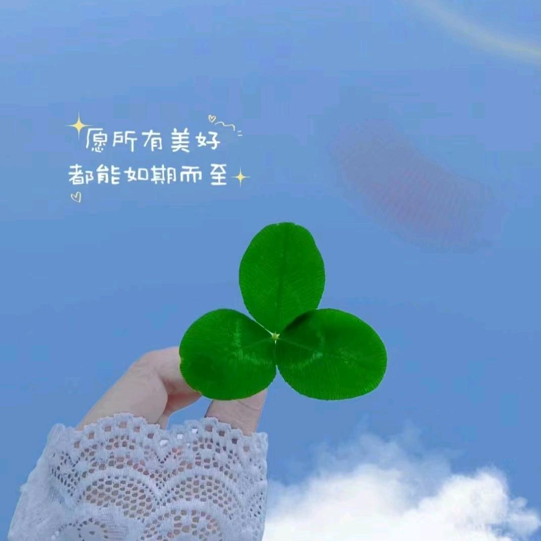 一只杨