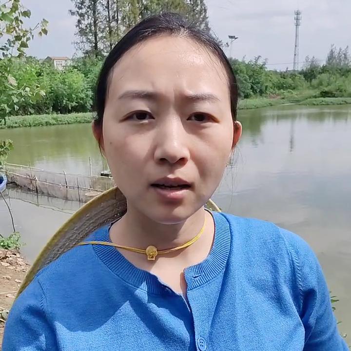 小卢在安陆