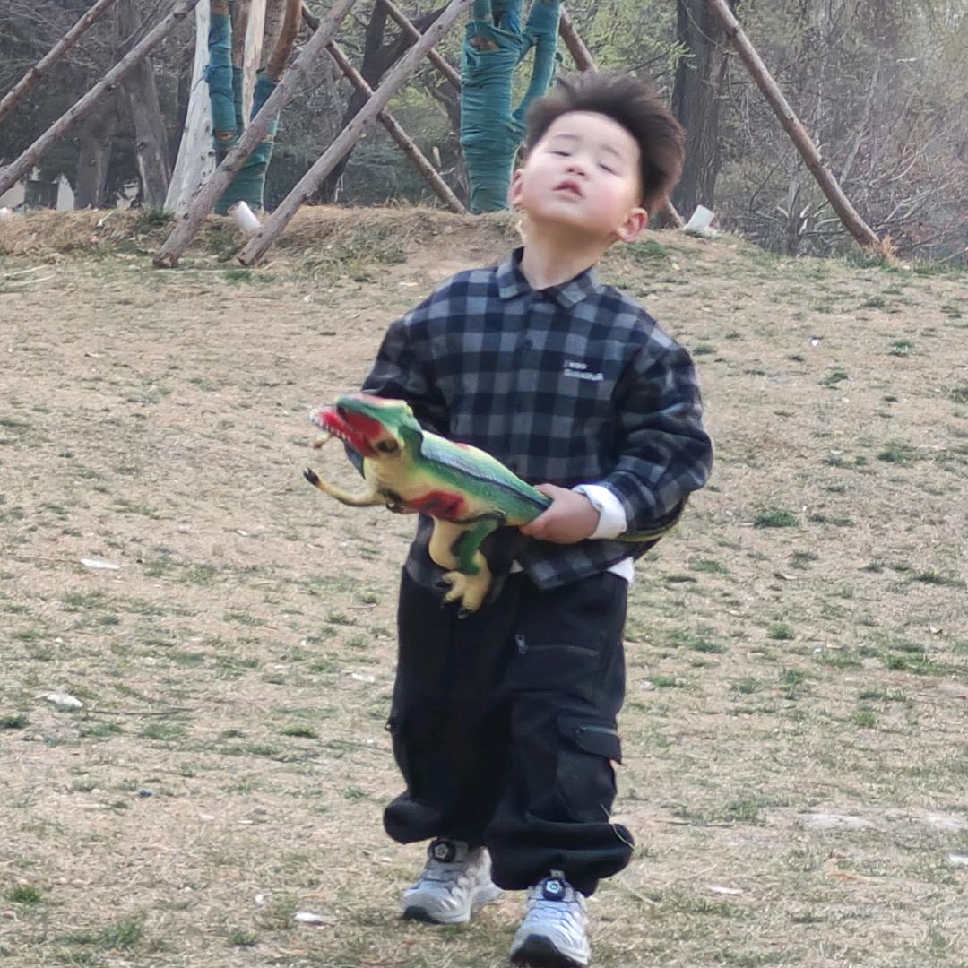 牛牛的恐龙世界