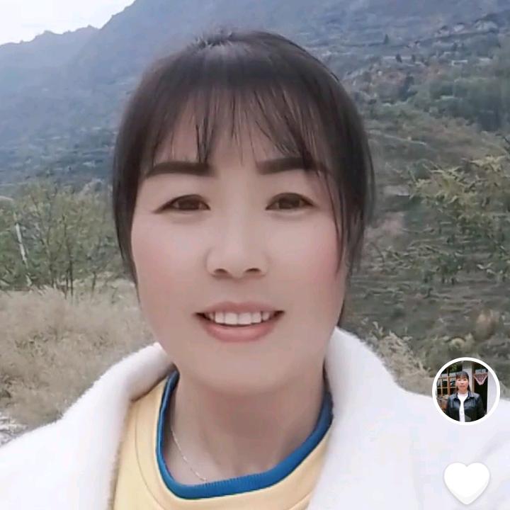 枫叶情