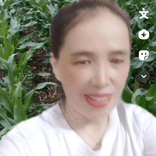 梦想橱窗好物《晚上六》
