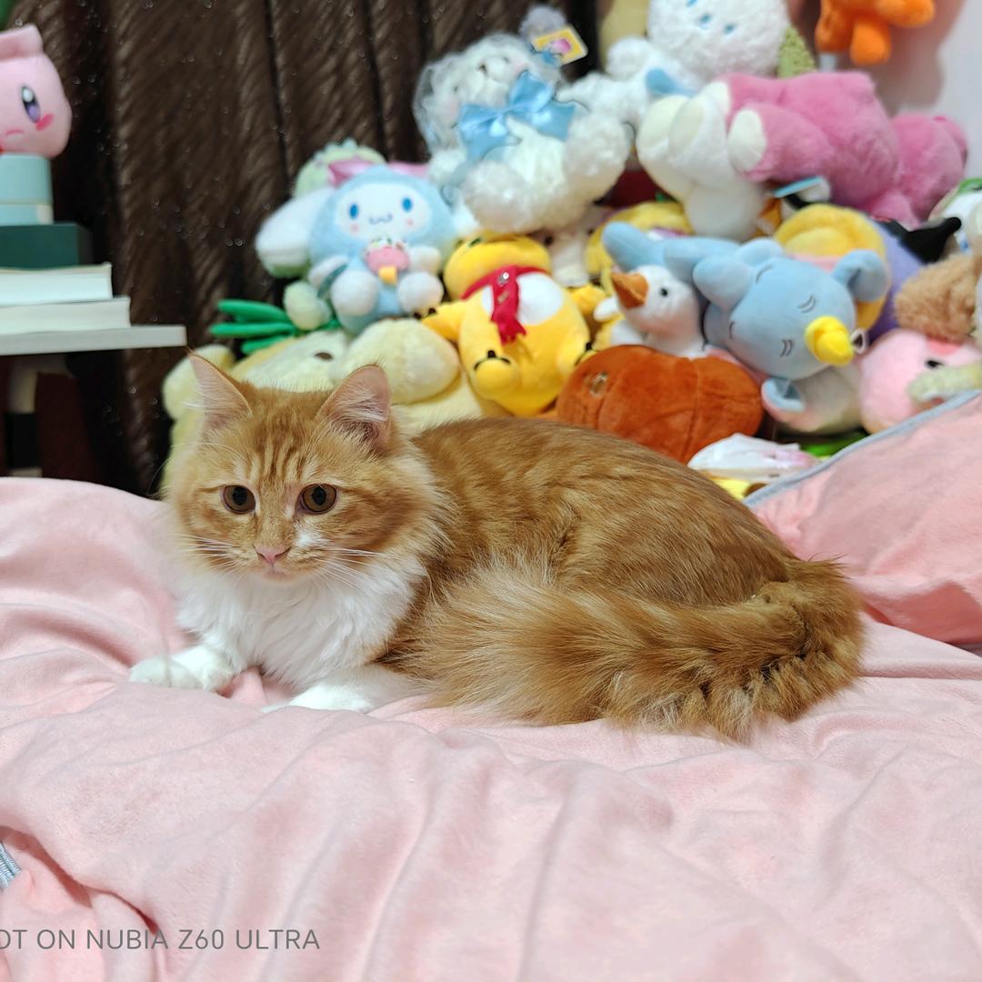 ✨♂蘰踄繧鍴￡✨