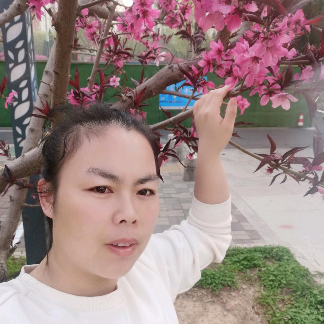 张亚楠