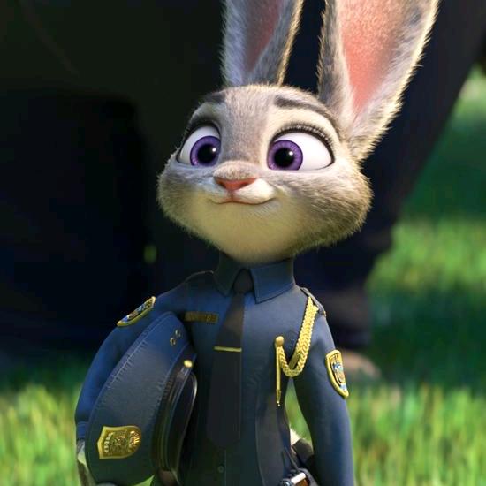 朱迪很忙🐰